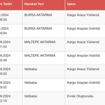 Sürat Kargo'nun Bursa Aktarma Merkezi'nde Bekleyen Kargolar