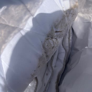 Kötü Durumdaki Ürünler ve Sorunsuz İade Süreci Talebi