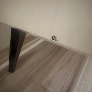 Gala Mobilya ile Yaşanan Montaj ve Hizmet Sorunları