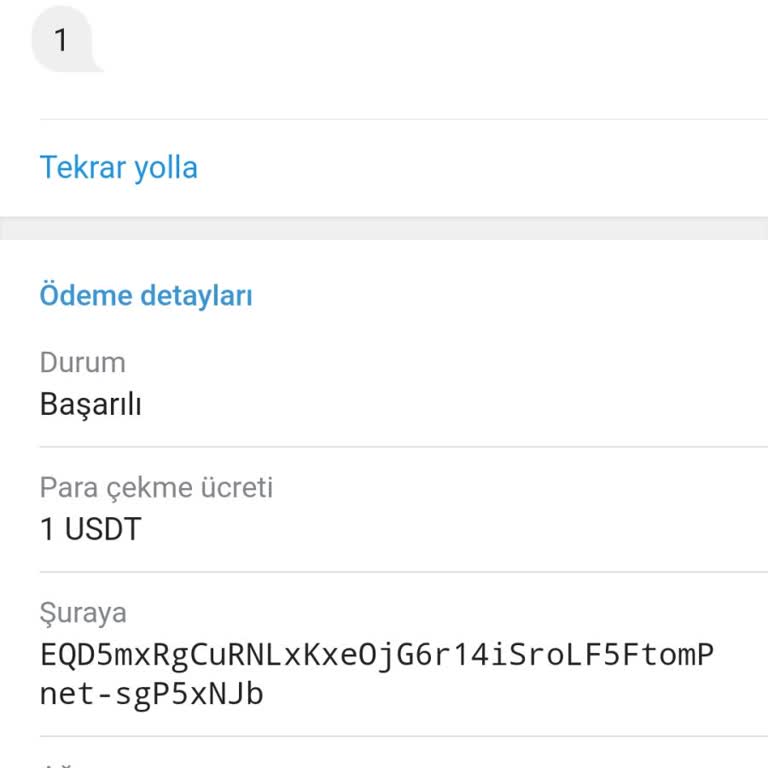 Binance Hesabına Geçmeyen USD Transferi