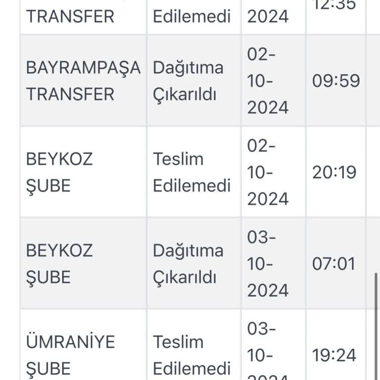 İstanbul İçi Kargo Çilesi: 5 Günlük Bekleyiş