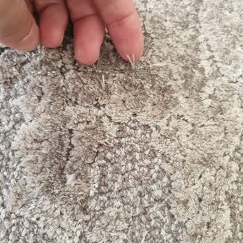 Step Halı'da Uyuz Köpek Görüntüsü ve Müşteri İlişkileri Sorunu
