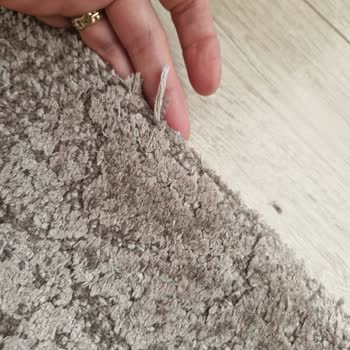 Step Halı'da Uyuz Köpek Görüntüsü ve Müşteri İlişkileri Sorunu