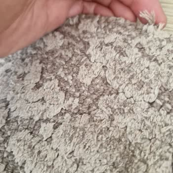 Step Halı'da Uyuz Köpek Görüntüsü ve Müşteri İlişkileri Sorunu