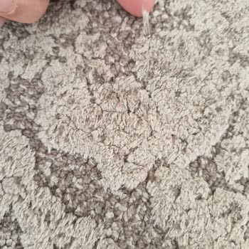 Step Halı'da Uyuz Köpek Görüntüsü ve Müşteri İlişkileri Sorunu