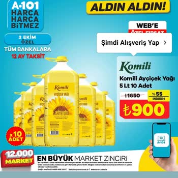 A101 sahte instagram reklamı Üzerinden Yanıltıcı Alışveriş ve 15 Bin TL Kayıp