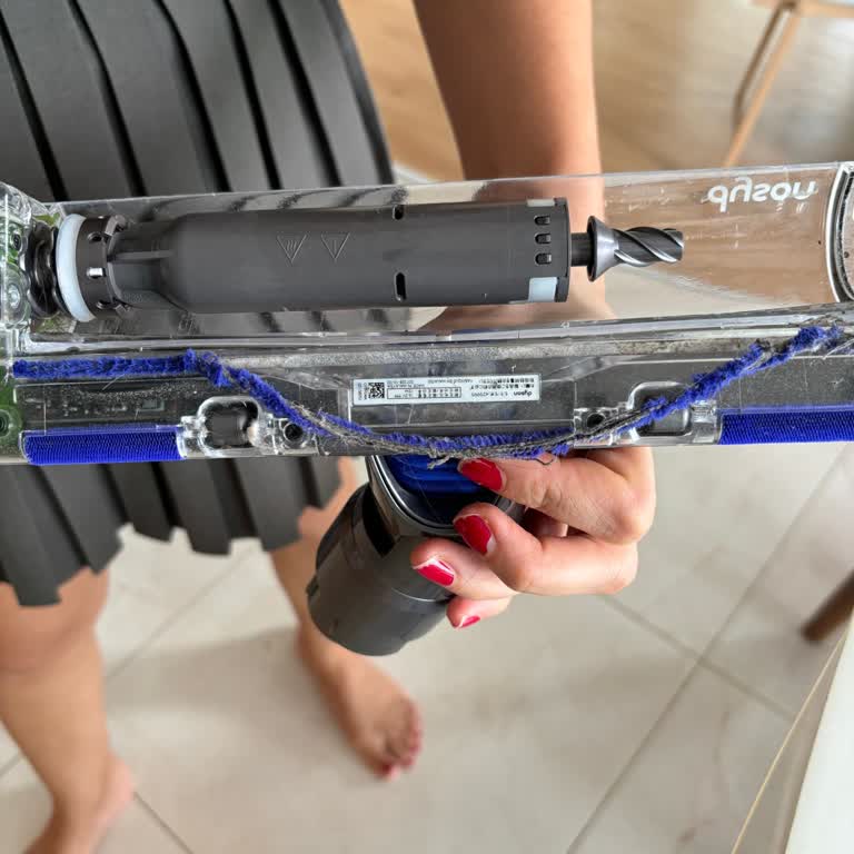 Dyson Süpürgede Boya ve Süet Sorunları