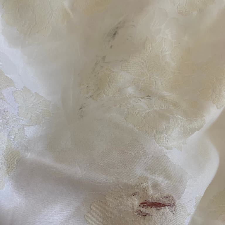 Arzum Ütü Kıyafetlerimi Mahvediyor