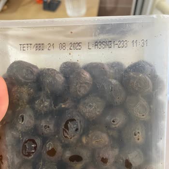 Tukaş Zeytinlerin Kalitesizliği ve Bozulma Sorunu