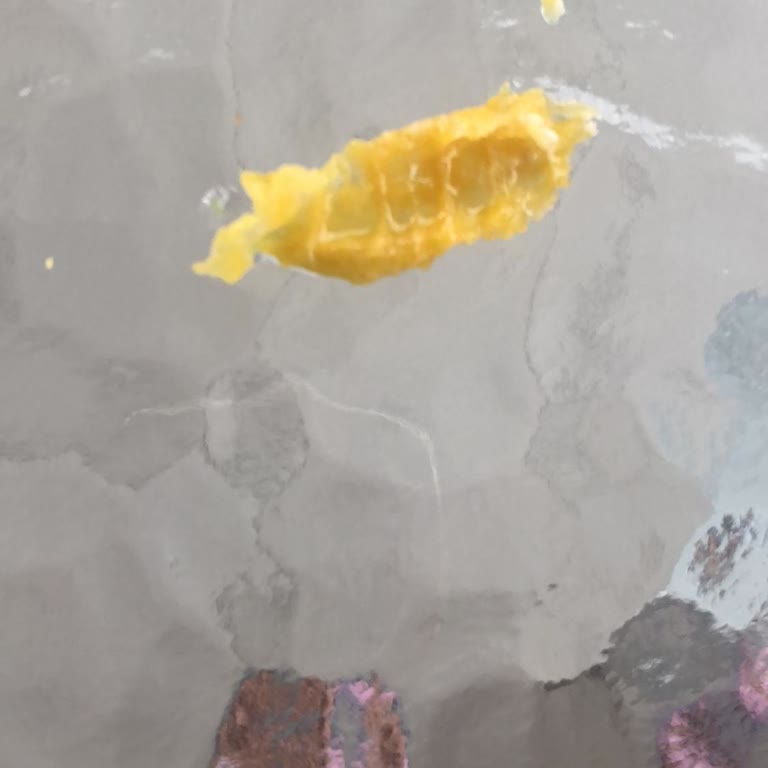 Onay Yöresel Ürünler Karakovan Balı Siparişimde Hayal Kırıklığı