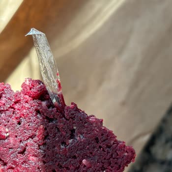 Mille Presse Maltepe Şikayeti