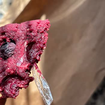 Mille Presse Maltepe Şikayeti