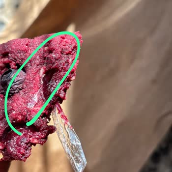 Mille Presse Maltepe Şikayeti