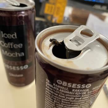 Kahvemde Sinek Şoku: Sağlığımız Tehlikede!