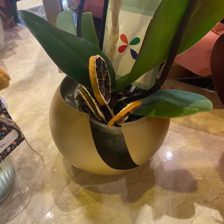 Kırık Vazo Şoku: Çiçek Sepeti'nin Sorumsuzluğu