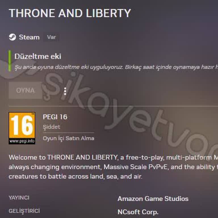 Premium Üyelikte Oyun Erişim Sorunu