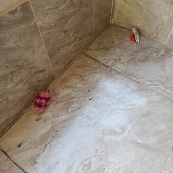 Diyarbakır'da Çöp Sorunu Çözüm Bekliyor