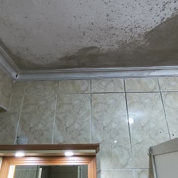 Ekspertiz Sürecindeki İletişimsizlik ve Mağduriyet