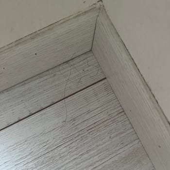 Zin D Home Çekmeköy unhygienische Zimmer und verweigerte Rückerstattung