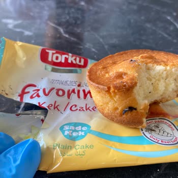 Torku Kekin İçinden Sinek Çıktı: Şok Edici Deneyim