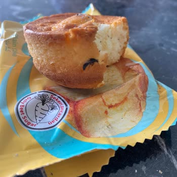 Torku Kekin İçinden Sinek Çıktı: Şok Edici Deneyim