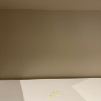 Zin D Home fehlende Hygiene, defekte Ausstattung und kein Kundenservice