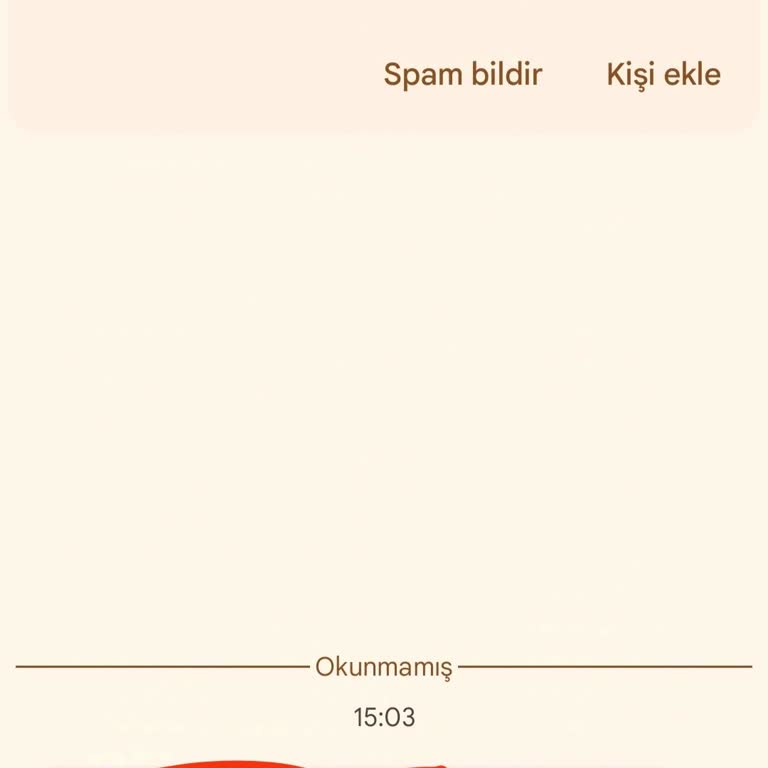 Asılsız Mesajlarla Mağduriyet ve Yetkisiz İşlemler
