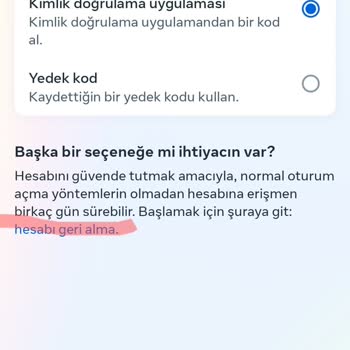Instagram Hesabına Erişimde Zorluk Ve Çözüm Beklentisi