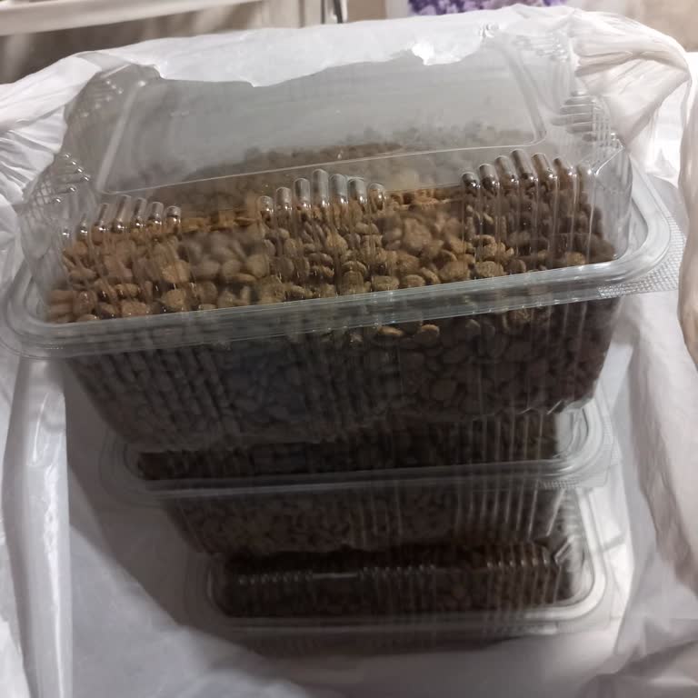 Yanlış Gelen Mama ve İade Sorunu