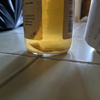 Fide Kemik Sularındaki Ekşi Tat ve Güvenlik Sorunu