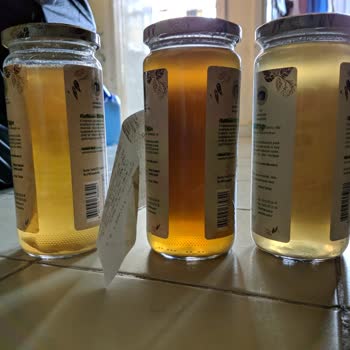 Fide Kemik Sularındaki Ekşi Tat ve Güvenlik Sorunu