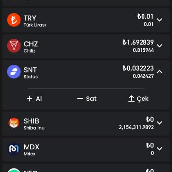 Bitay'da Shiba Coin İşlem Sorunu