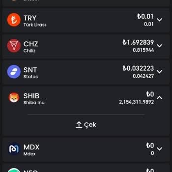 Bitay'da Shiba Coin İşlem Sorunu