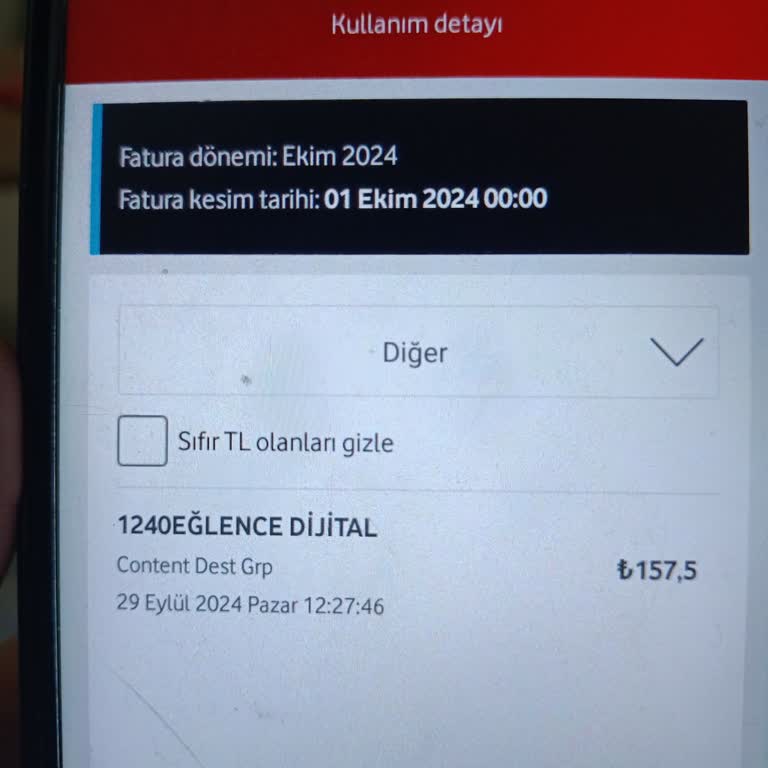 Yanlış Yansıtılan Eğlence Paketi Ücreti ve İade Talebi