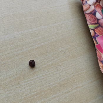 Tehlikeli Sürpriz: Kuruyemişten Taş Çıktı!