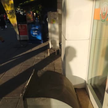 Alışveriş Arabası Eksikliği ve İlgisiz Mağaza Yönetimi