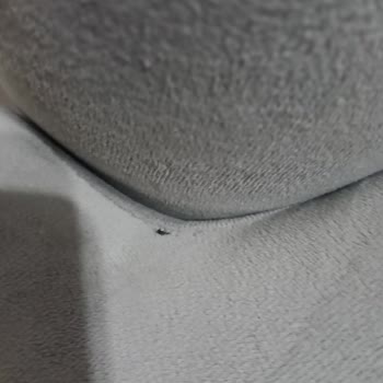 Mobilya Teslimatında Kalite ve İletişim Sorunları