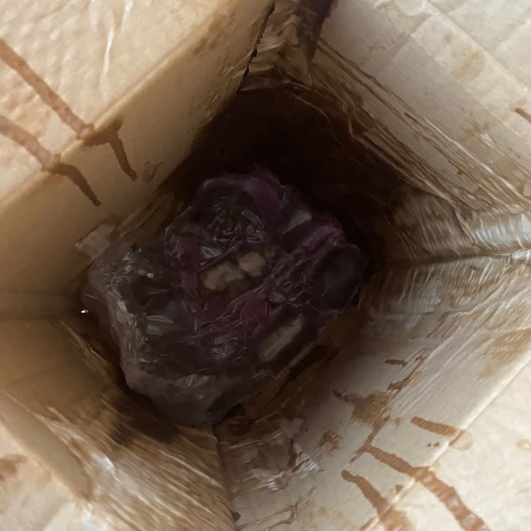 Gratis Online Alışverişte Hayal Kırıklığı: Dökülen Deterjanlar ve Yetersiz Müşteri Hizmetleri