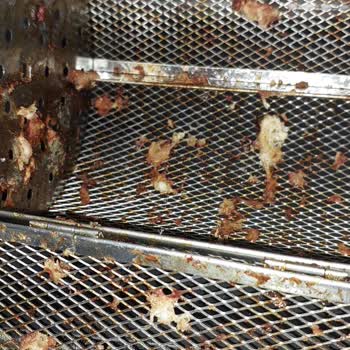 Robx Robwell AS29 Air Fryer İle Pişirme Sorunları