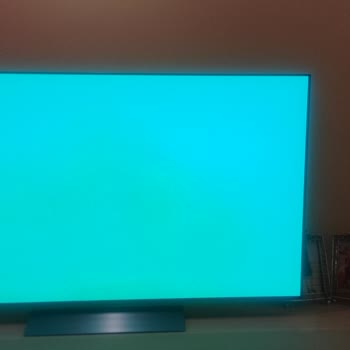 Ayıplı Ürün Satışı ve İade Talebi: LG OLED TV Ekran Yanığı Sorunu