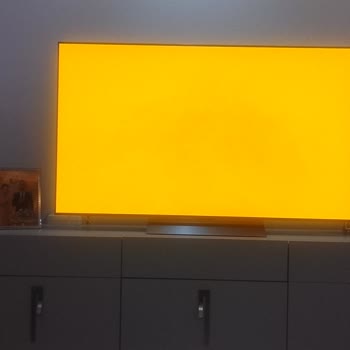 Ayıplı Ürün Satışı ve İade Talebi: LG OLED TV Ekran Yanığı Sorunu