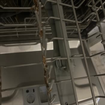 Franke Bulaşık Makinesinde Paslanan ve Dağılan Sepetler: Hayal Kırıklığı