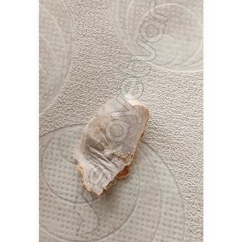 Tatbak'tan Aldığım Kuruyemişler Kurtlu ve Yabancı Madde İçeriyor