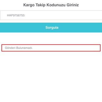 Kargo Teslimatında Yaşanan Gecikme ve İletişim Sorunları