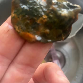 Cappy Meyve Suyundan Çıkan Pislikler Şok Ediyor