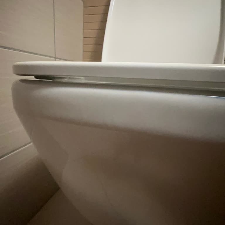 Kanalsız Klozetlerin Su Kaçağı Sorunu