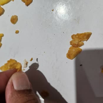 Ürün Kalitesi ve Müşteri Hizmetleri Sorunu