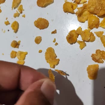 Ürün Kalitesi ve Müşteri Hizmetleri Sorunu