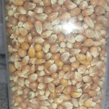 Rutubetli ve Patlamayan Mısır Şikayeti