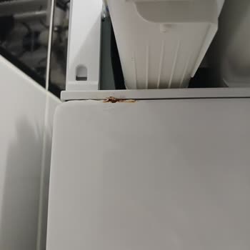 Beko Çamaşır Makinesinde Paslanma Sorunu